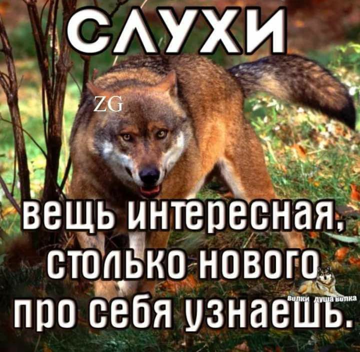 САУХИ Чігвх а яд ВЭЩЬ интепесная стбпькп навиго про себя узнаеш 4