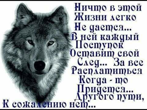 Ничто в этой Жизни легко Не настен 3 ней кажный Поступок Осщивпщсвой Сын За все Расшатптьсн Коша що и еще Гг гоп при иш ппонсц