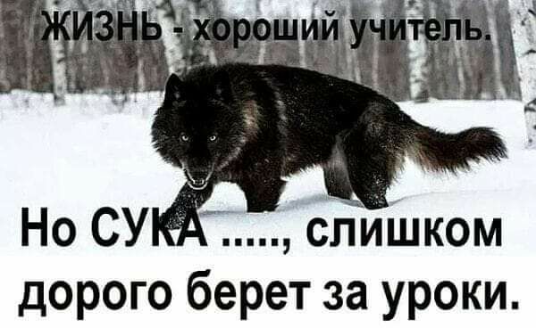 Но СУ опшком дорого берет за уроки