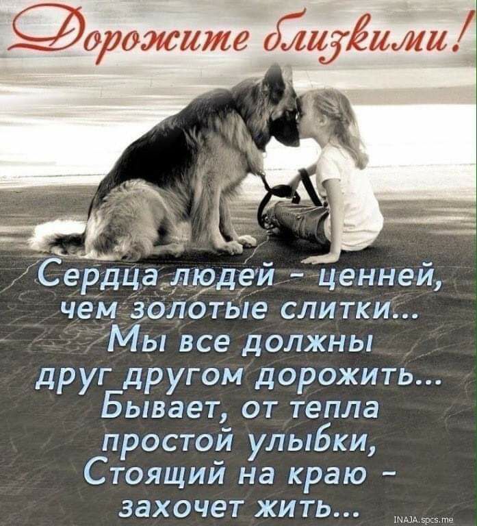 9орожшле бшіёижи п в Сердцалрдей ценней чем 3олотые слитки Мы все должны друг другом дорожить Бывает от тепла простой улыбки Стоящий на краю захочет жить