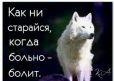 Как ни старайся когда бОАьно бОАИТ