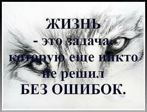БЕЗ щошйвок