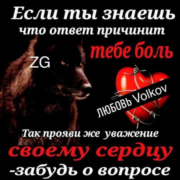 Если ты знаешь что ответ причинит Так 3111051831 уважение своему сердцу забудь о вопросе
