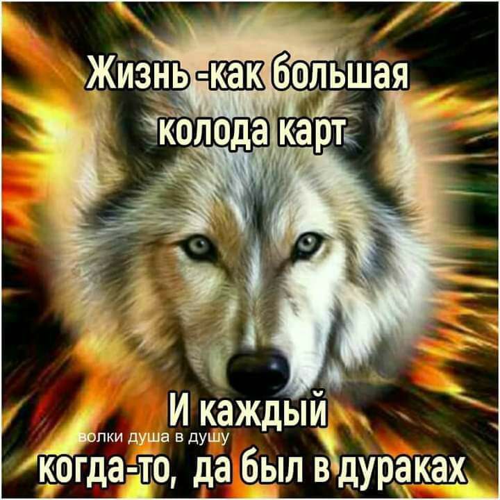 _и в ду КОГДЧЦ да В ёдураках