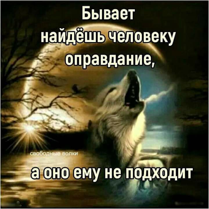 Бывает надёшь5челевеку дтп ра вда Н И газ 1 не пдит