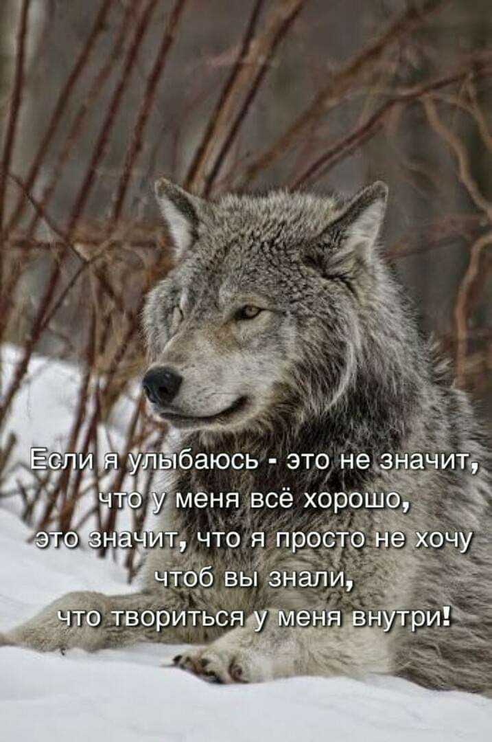 х_шипнтм
