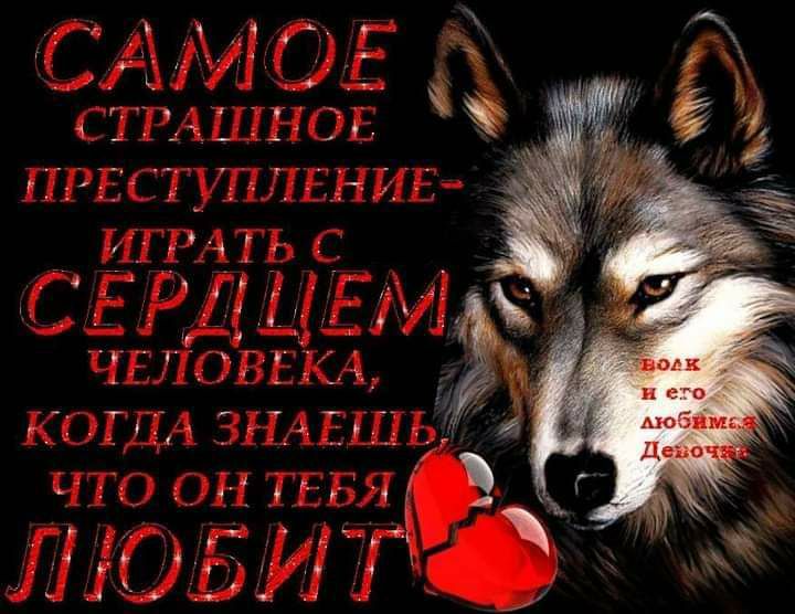 чет ЗАН т а Г 4 э _ 1 н 1