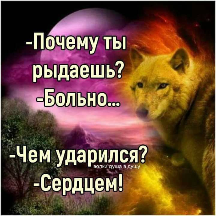 л ЁЧемъудаиищдя и