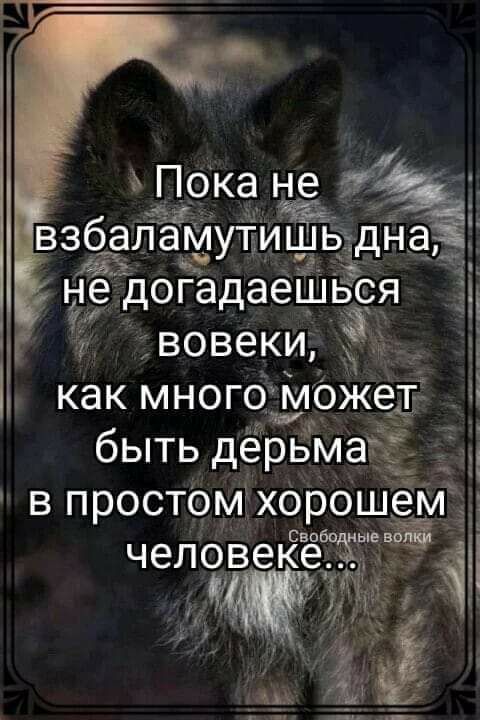 Пока не взбаламутишьдна Ж не догадаёШЬся і 1 __ вовеки К как много может Зі быть дерьма Сааба человеке МП 5