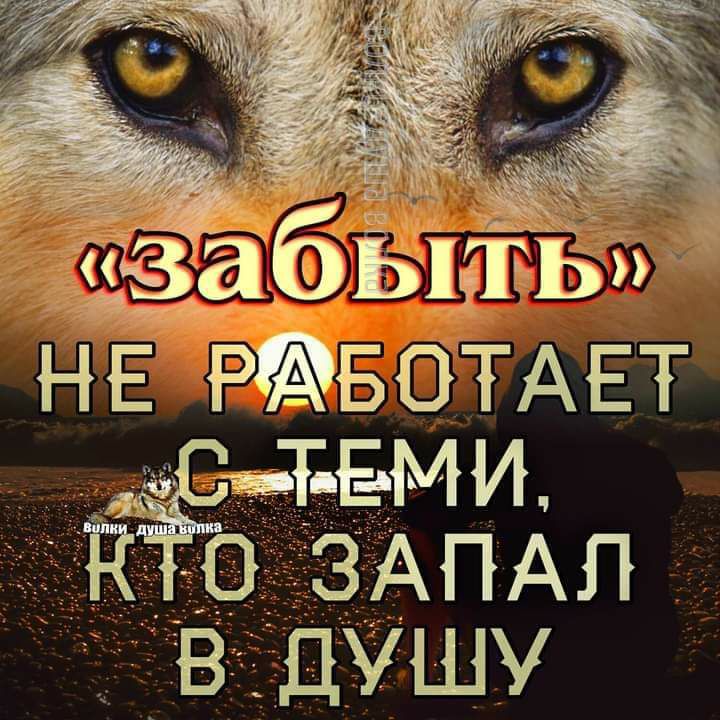 абЁі НЁ РЁБОТАЕТ жТЕМИ