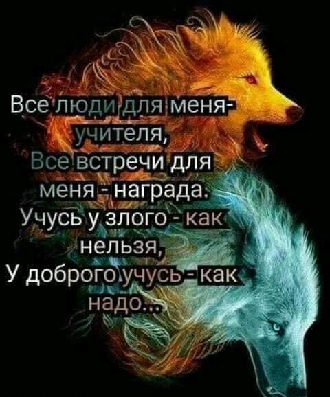 _ Всепюд111дляэменя дд_ учителя Все вфречи для нел ьзя У доброгоучусь У
