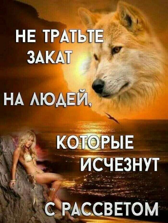 НА АЮАЕ за КОЗЩРЫЕ ЧЁ тчЕзнут СРАССВЕТОМ
