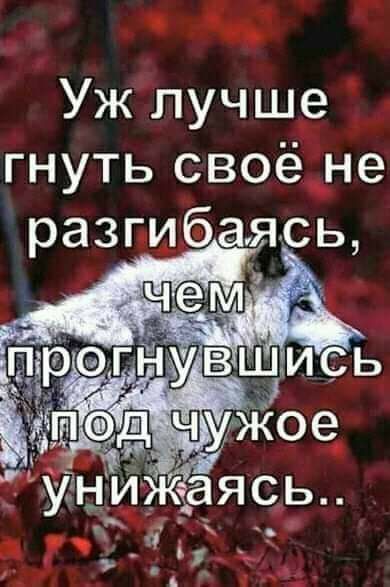 Уж лучше гнуть своё не