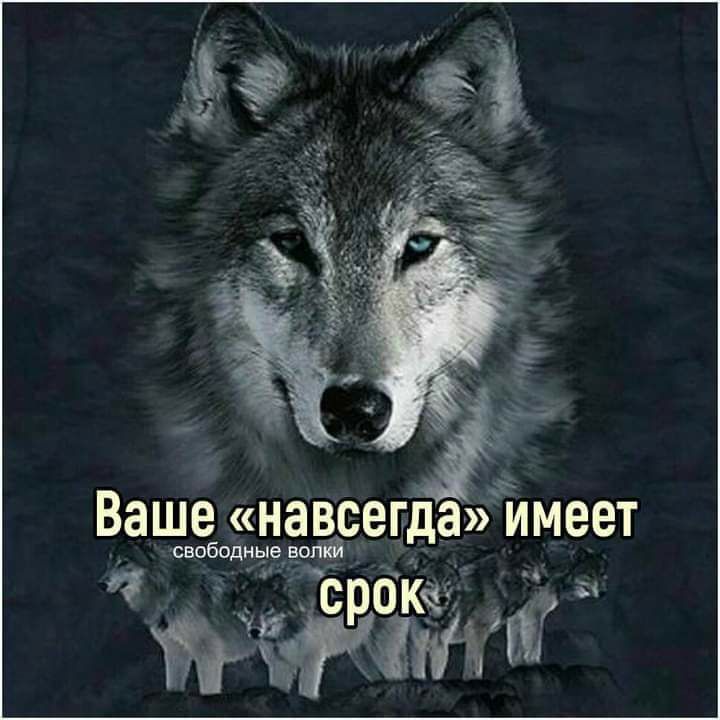 Ваше навсегда имеет рока
