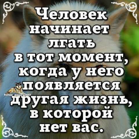 Человек ачинает Мг гатъ В тот Момент когда негде ПОЯВПЯСТСЯ Жуки жиз_н_ъ в которой нет вас