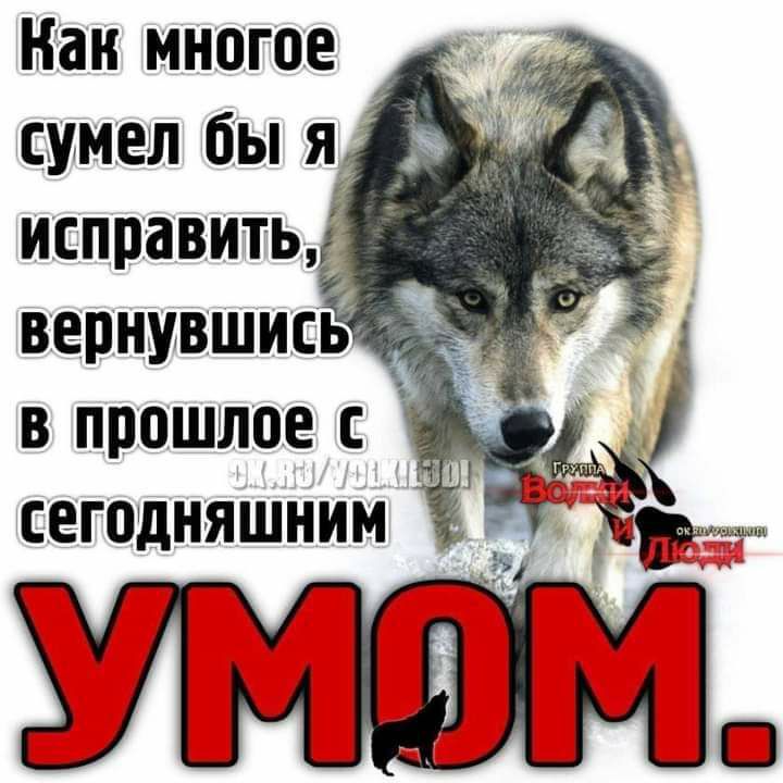 Нан многое сумел бы я исправить вернувшись в прошлое с сегодняшним