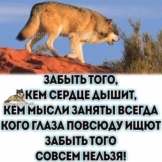 ЗАБЫТЬ ТОГО КЕМ СЕРАЦЕ АЫШИТ КЕМ МЫСАИ ЗАНЯТЫ ВСЕГДА КОГО ГМЗА ПОВСЮАУ ИЩЮТ ЗАБЫТЬ ТОГО СОВСЕМ НЕАЬЗЯ