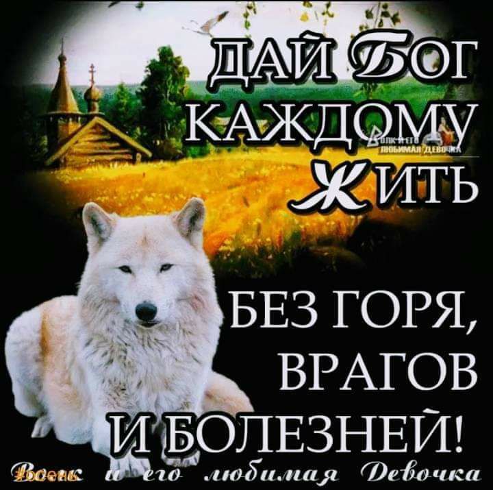 ЩАИ Ыдг КАждфму ЖИТЬ БЕЗ ГОРЯ ВРАГОВ _ и ЬОПЕЗНЕИ ту Фгііачпк