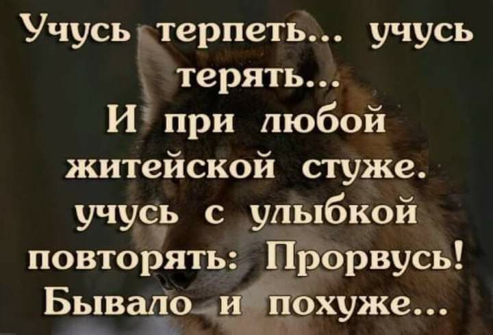 Учусььтерпеть учусь терять при любой житейской стуже учусь с улыбкой повторять Прорвусь Бь_1ва1іо__и похуже