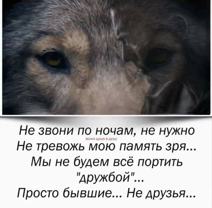 Не звони по ночам не нужно Не тревожь мою память зря Мы не будем всё портить дружбой Просто бывшие Не друзья