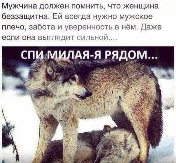 Мужчина должен помнить что женщина беззащитна Ей всегда нужно мужское плечо забота и увереннош ь в нём Даже если она выглядит гнънои спимщлАя я рядом _