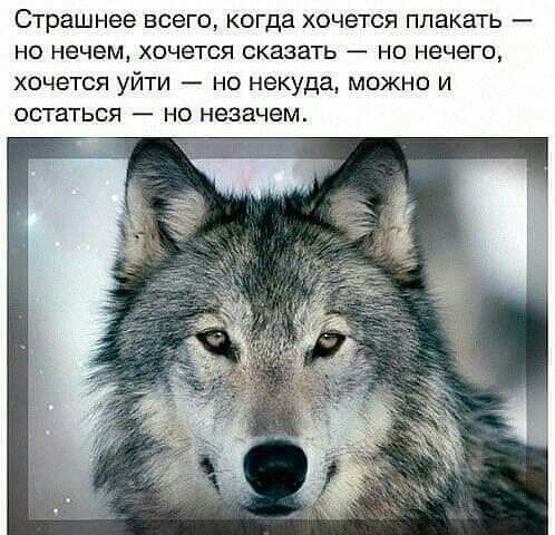 Страшнее ВСЕГО когда ХОЧЕТСЯ ПЛЗКЭТЬ _ НО нечем хочется сказать но нечего хочется уйти но некуда можно и ОСТЗТЬСЯ _ НО незачем