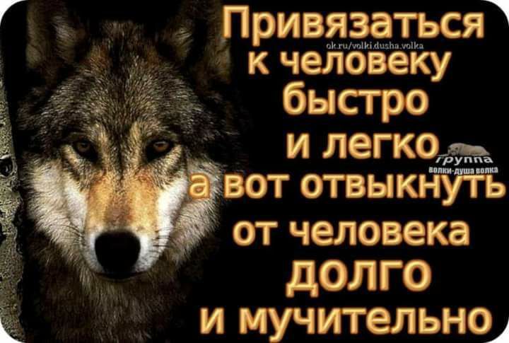к человеку быстро _ и легкойъ вот отвыкп тЪ от человека долго и мучительно д 7 Привязаться