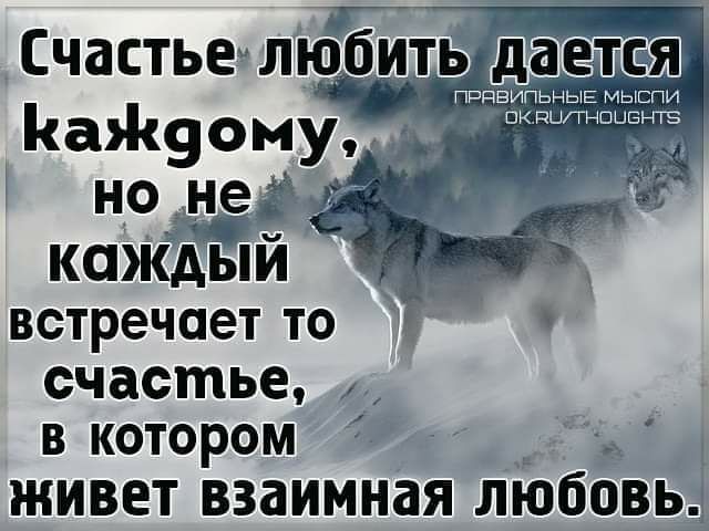 Счастье любить дается каждый встречает ТО счастье в котором живет взаимная любовь