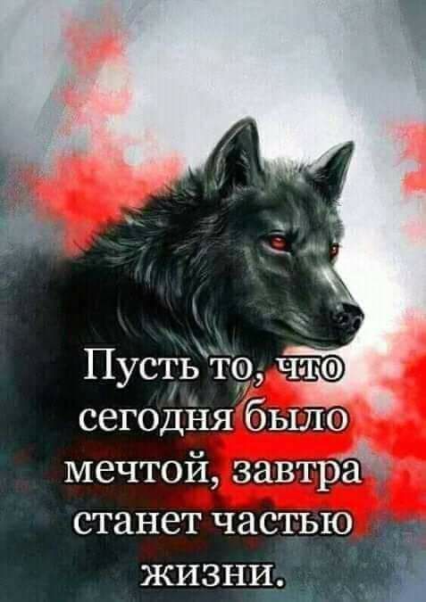 Пусть тф чтф сегодня было мечтой завтрёй станет частью