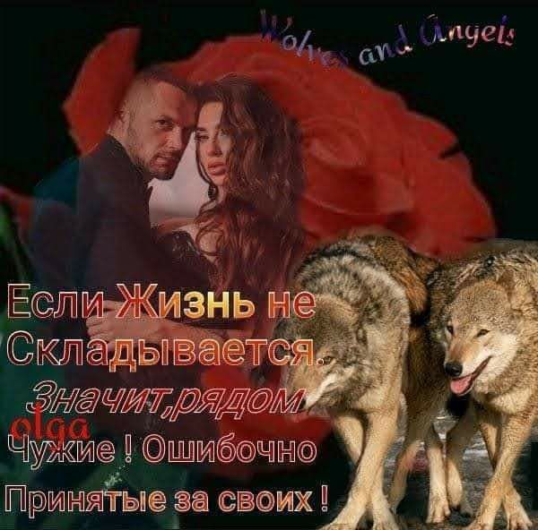 Муей ЁНЁЧИТ 5 Чужи_д ШМбЧН1 ГПриийЁдые светик