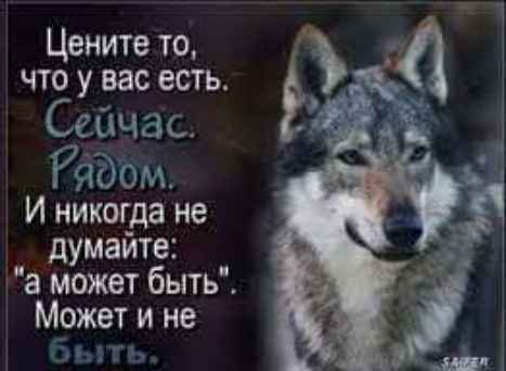 Цените то что у вас есть Сейчас РіЮом И никогда не думайте а может быть Может и не