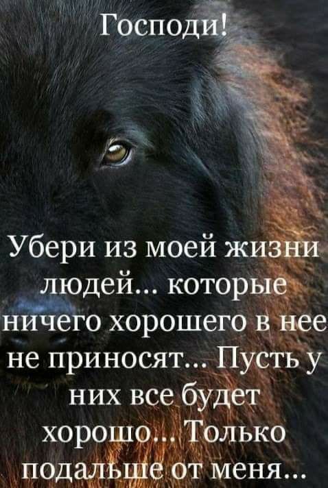 Убери из моей ж людей котор НИЧСЁ О ХОРОШЕГО