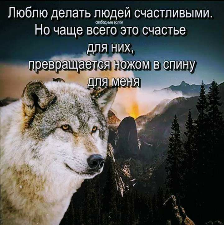 Люблю делать людей счастливыми Но чаще всего это счастье э ЦНЁЫ 15 1