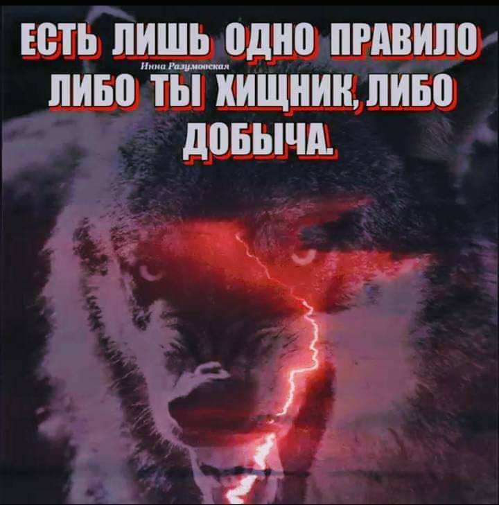 ЕСТЬ ПИЩЕПДНВ ПРАВИЛ пиво ТЫ КИЩНИН ИБП довычд 4