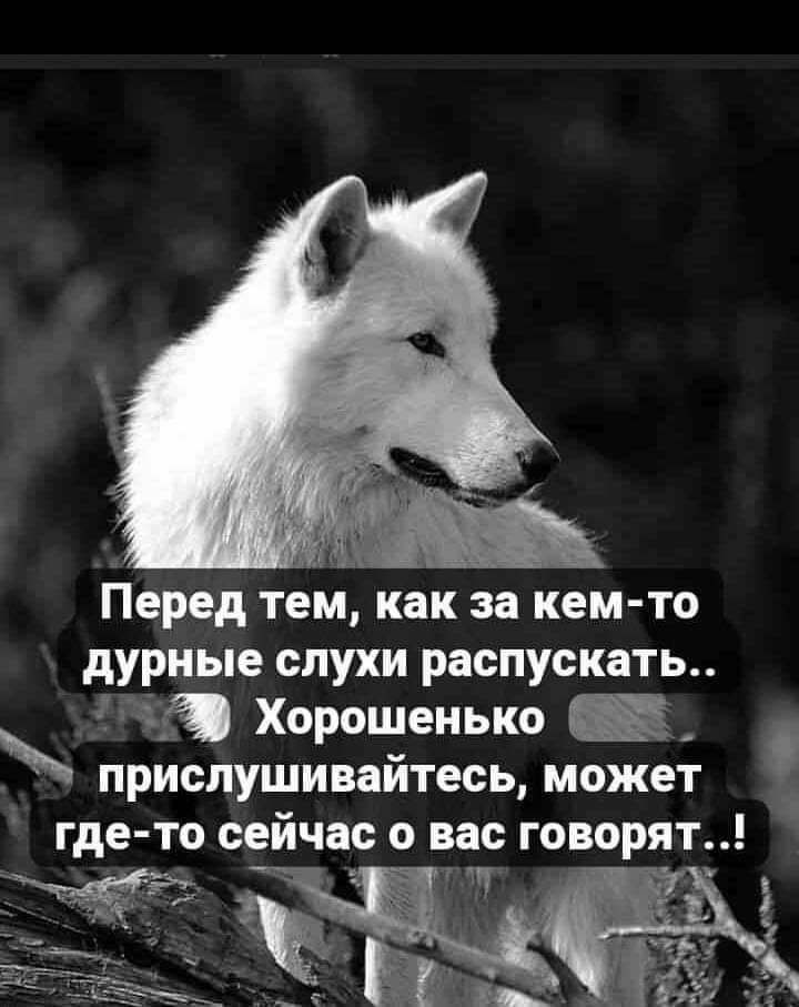Перед тем как за кем то дурные слухи распускать ё Хорошенько в_ ПРИСЩШИВЗЙТЕСЬ МОЖЕТ где то сейчао О ВЭС ГОВОРЯТ