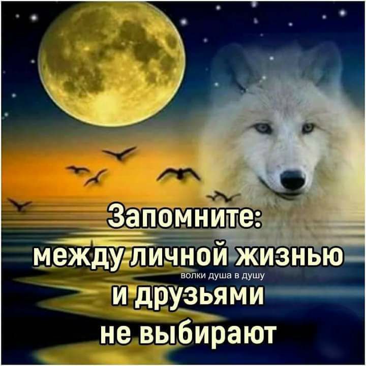 МЕЖДУЛИННОЙ ЖИЗНЬЮ и душа душу ИЩРУЭЕЯМИ не выбирают