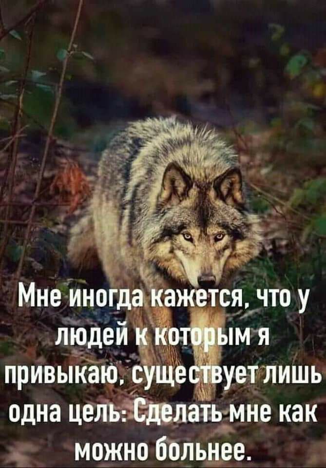 одна целаигмне как мо_жно Ешьшэе