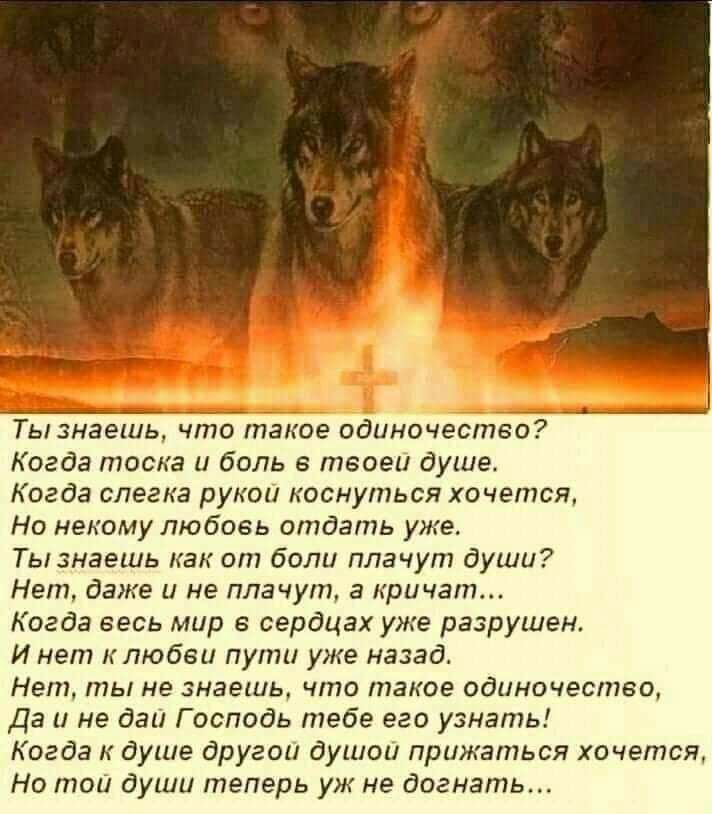 Тымаешь что такое одиночество Когда тоска и боль тзоеи душе Кагда слегка рукои коснуться хочется Но некому любовь отдать ужа Тызнаешь как от боли плачут души Нет даже и не плачут а кричат Когда весь мир в сердцах уже разрушен и нет к любви пути уже назад Нет ты не энагшь что таное одиночество Да и не дан Господь тебе его узнать Когда к душе другои душам прижаться хочгтщ Но тои души теперь ужнв дог