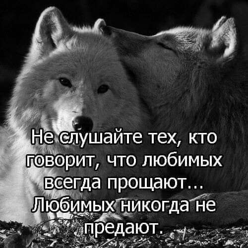 Любикогда не я