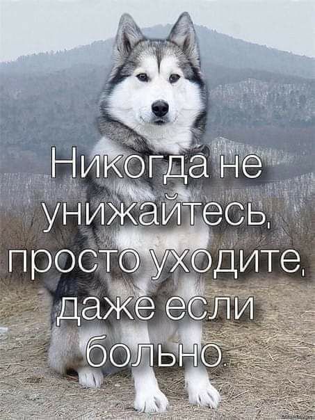 Н икс гда ддё 1Ч унижаитеСь проста уходите _ _