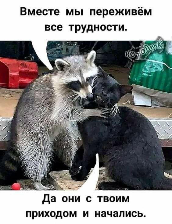 Вместе мы переживём все трудности да они с твоим приходом и начались