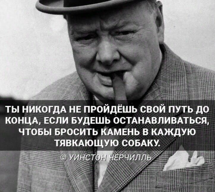 ТЫ НИКОГДА НЕ ПРОЙДЁШЬ СВОЙ ПУТЬ до КОНЦА ЕСЛИ БУДЕШЬ ОСТАНАВПИВАТЬСЯ ЧТОБЫ БРОСИТЬ КАМЕНЬ В КАЖДУЮ ТЯВКАЮЩУЮ СОБАКУ