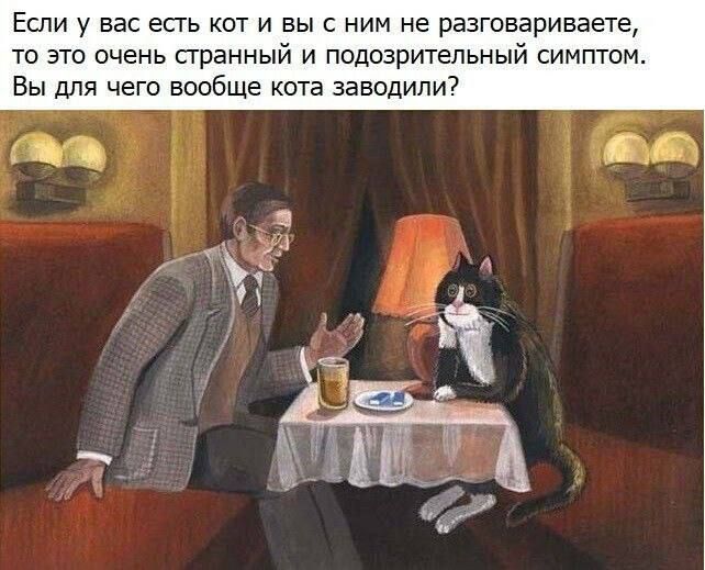 Если у вас есгь кот и вы с ним не разговариваете то это очень странный и подозрительный симптом Вы для чего вообще кота заводили