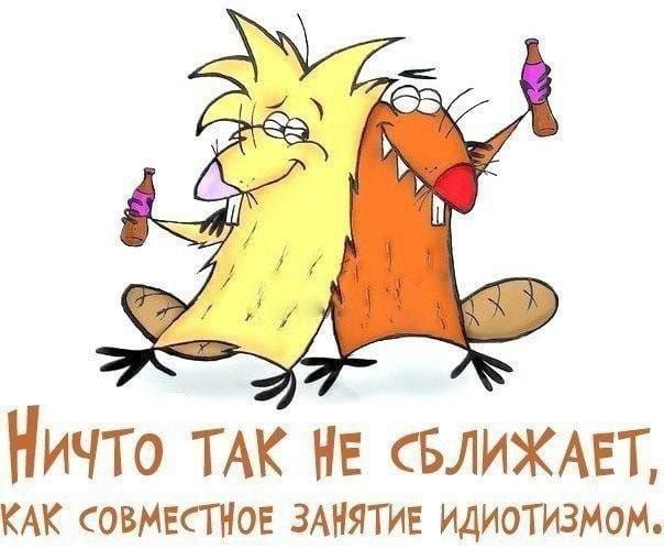 Ничт ТАК не СБЛИХАЕТ КАК СОВМКТНОЕ ЗАНЯТИЕ Идиотизмом