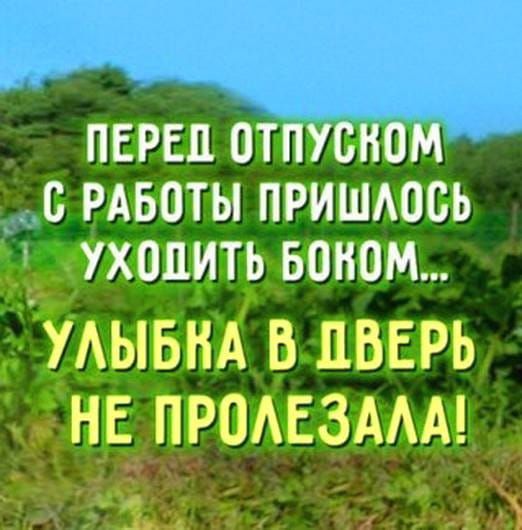 Ульбок. Перед отпуском. Перед отпуском с работы пришлось. Работа перед отпуском. С работы пришлось уходить боком.