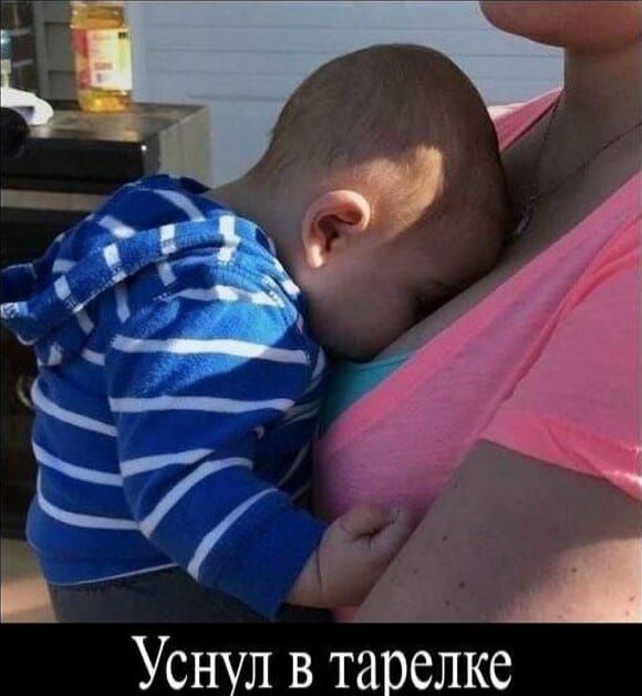 Уснул в тарелке