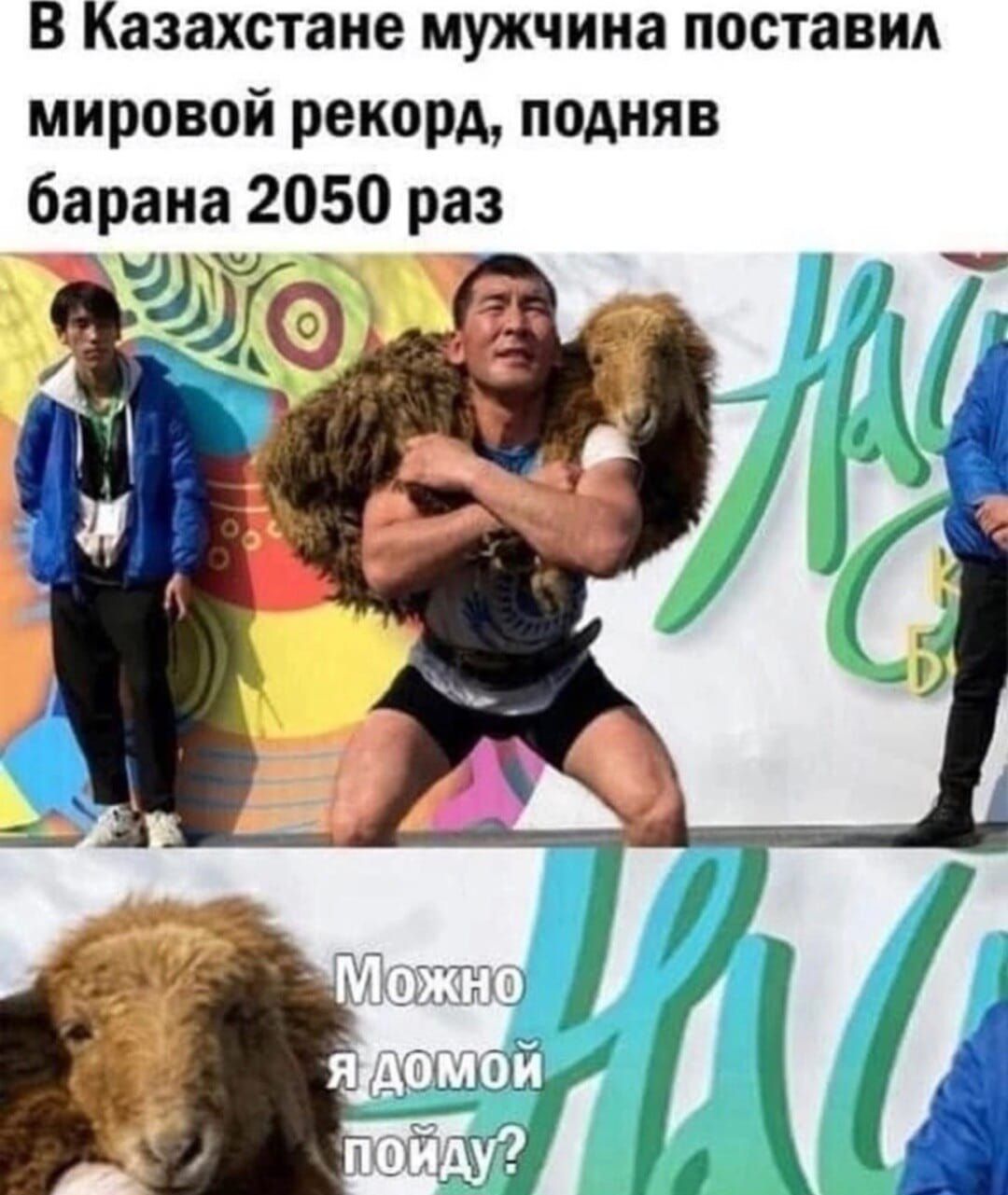 В Казахстане мужчина поставил мировой рекорд подняв барана 2050 раз э а