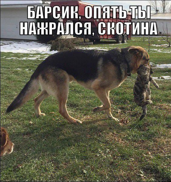 _БдРВИН 0П Цжрдпін __