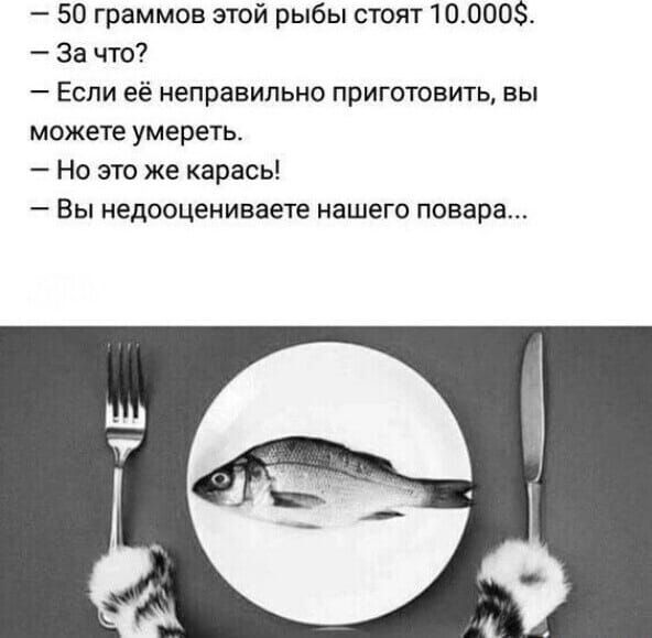 50 граммов этой рыбы стоят 100005 за что Если её неправильно приготовить вы можете умереть Но это же карась Вы недооцениваете нашего повара