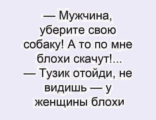 Мужчина уберите свою собаку А то по мне блохи скачут Тузик отойди не видишь у женщины блохи